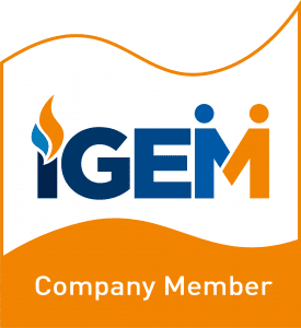 Orange abstract wave shape with blue text, flame and two people handing hands. Text: IGEM. Below is an orange box with white text: company member.