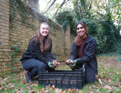 Axis & Notting Hill Genesis Complete Garden Makeover at Garrick Close