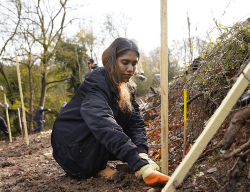 National Tree Week Volunteering Campaign