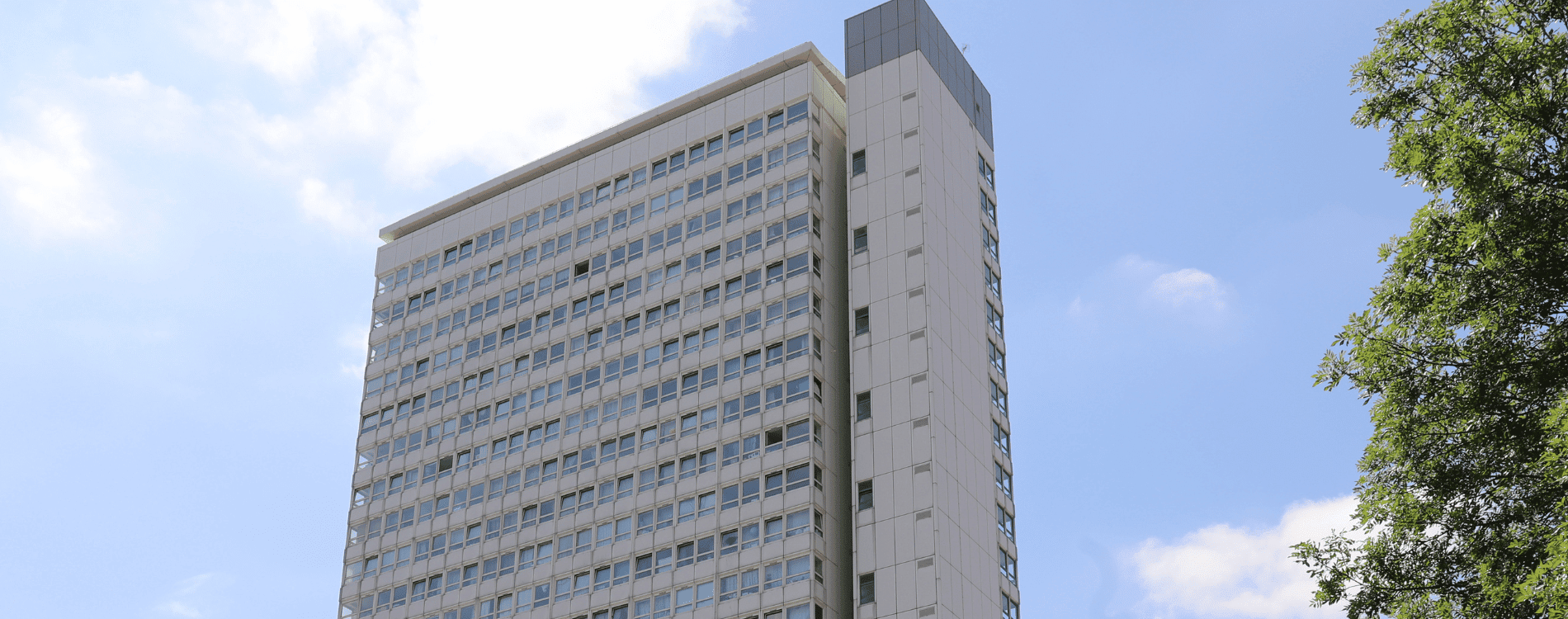 Single Tower block with tree
