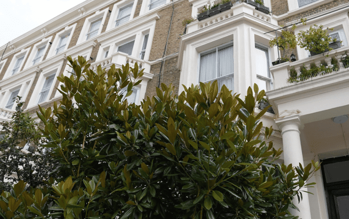 Victorian Property with white framing of windows and doors.