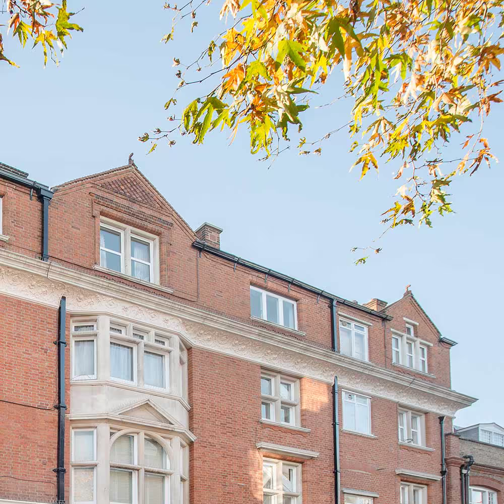 The upper floors of the historic red brick building after redecoration, highlighting the ornate white stone bay windows and decorative frieze against a clear blue sky with autumn leaves.