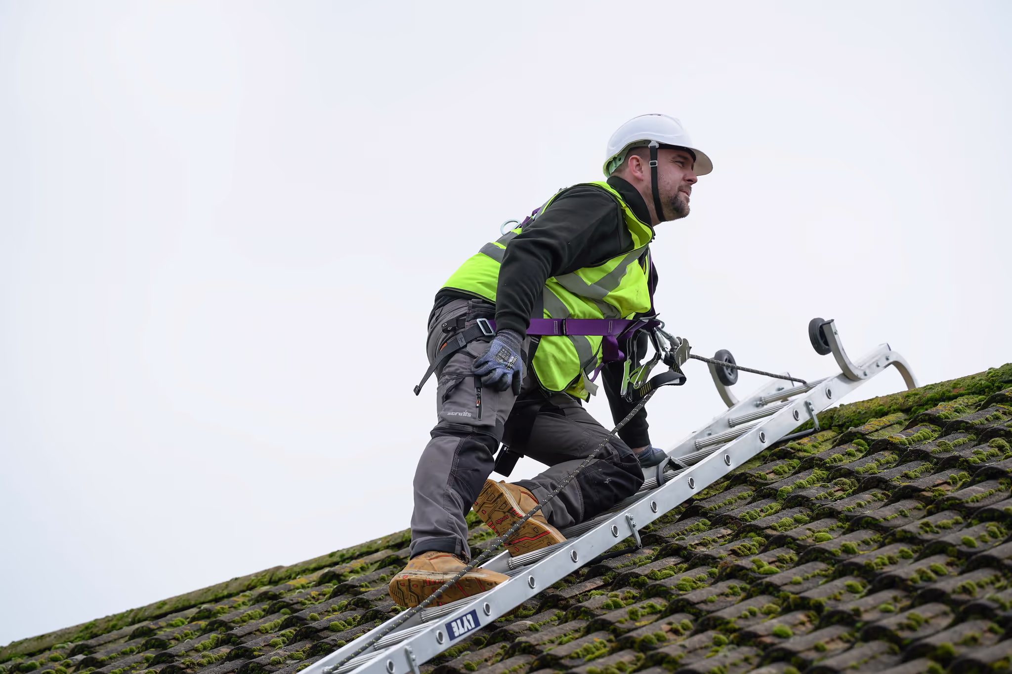 A roofer wearing a safety harness and hard hat climbing a ladder onto a moss-covered residential roof.